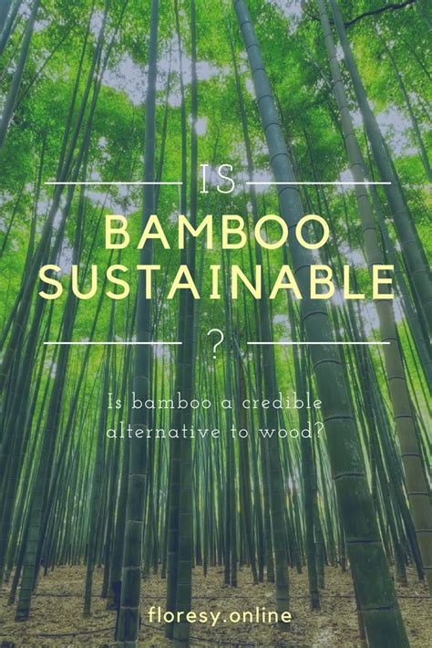 Why use bamboo instead of wood?