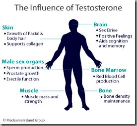Why was JFK on testosterone?