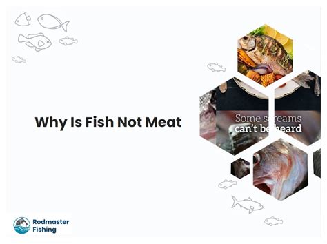 Why was fish not considered a meat?