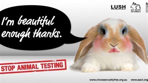 Why we should stop animal testing?