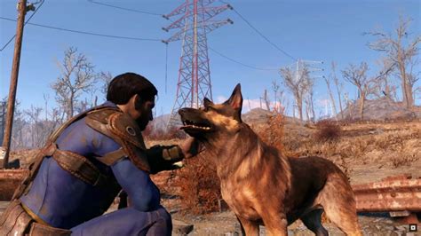 Why won t Fallout 4 install on PS5?