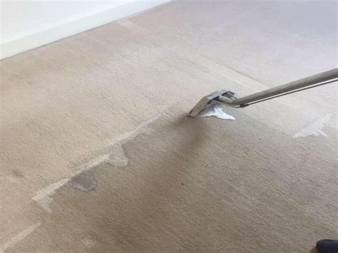 Why wont my carpet dry after shampooing?