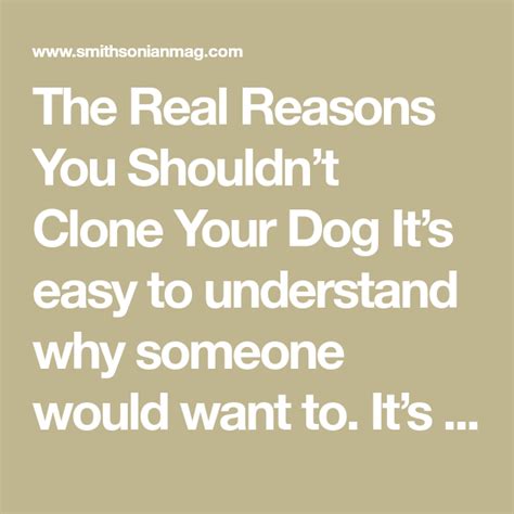 Why you shouldn't clone your pet?