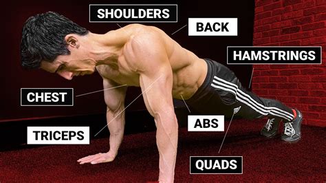 Will 100 pushups a day make your arms bigger?