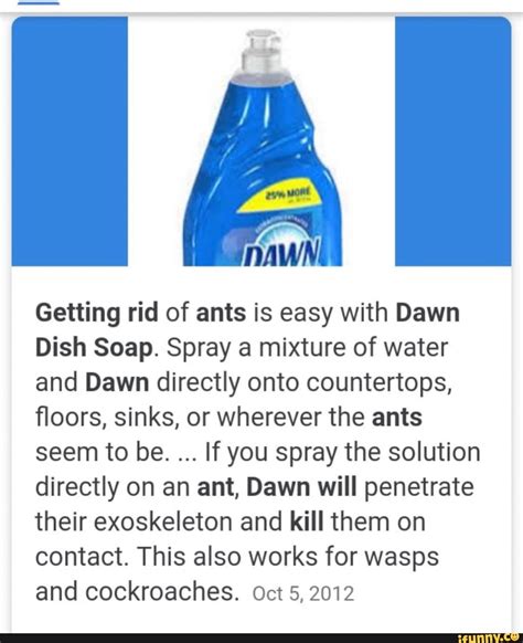Will Dawn dish soap get rid of bees?