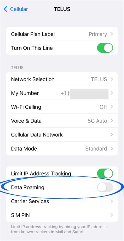 Will I get charged if I turn on data roaming?