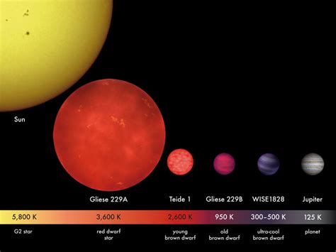 Will Proxima Centauri become a blue dwarf?