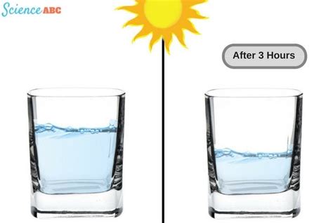 Will a glass of water evaporate?