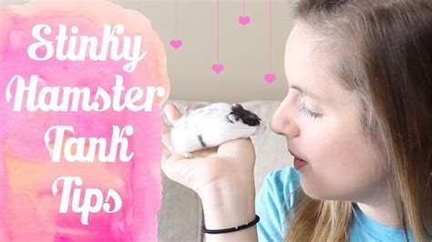 Will a hamster make my room smell?