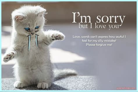 Will a kitten forgive you?