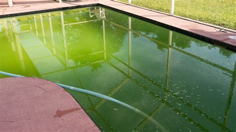 Will a pool turn green if the pH is low?