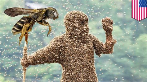 Will a swarm of bees sting you?