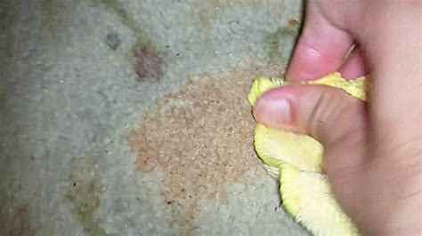 Will alcohol remove carpet stains?