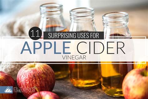 Will apple cider vinegar keep bugs away?