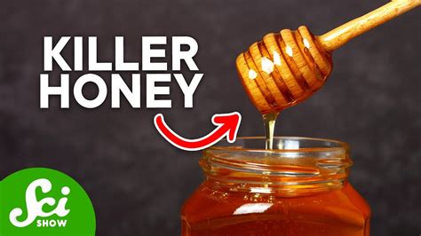 Will bacteria grow in honey?