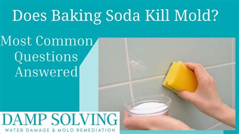 Will baking soda kill mold on concrete?