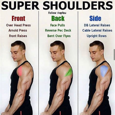 Will bigger shoulders make arms look bigger?
