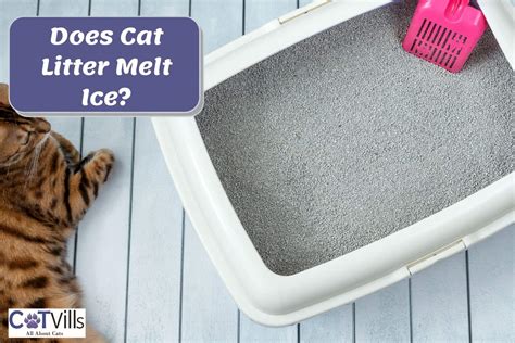 Will cat litter melt ice?