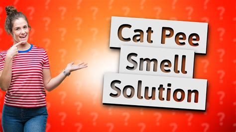 Will cat pee smell eventually go away?