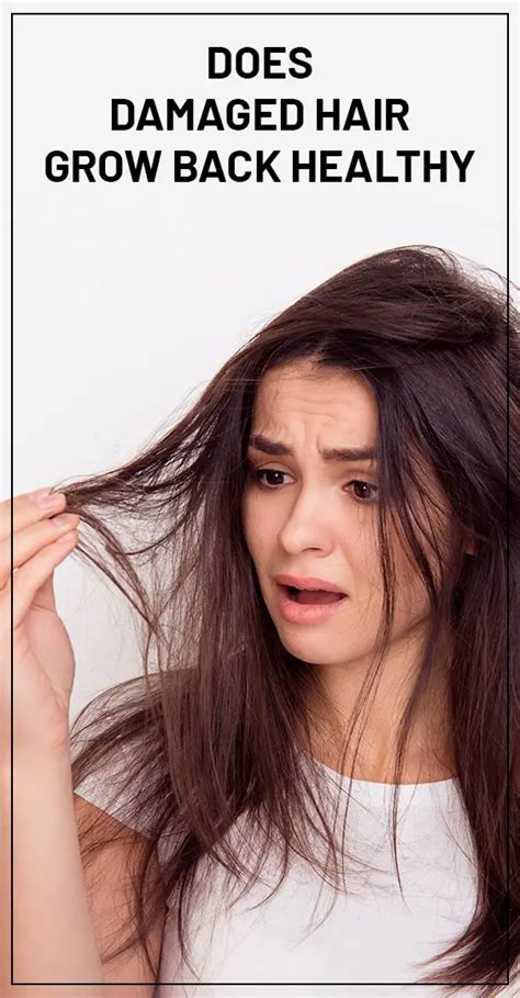 Will damaged hair grow back healthy?