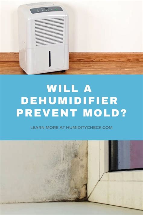 Will dehumidifier stop mold?