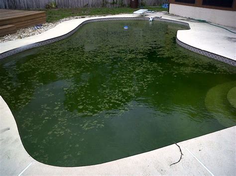 Will draining a pool get rid of algae?