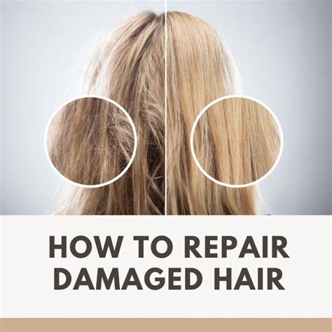 Will dry hair repair itself?