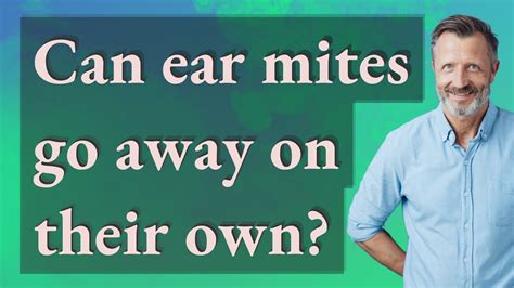 Will ear mites go away on their own?