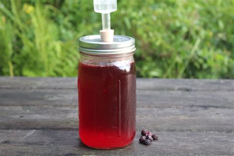 Will grape juice ferment without yeast?