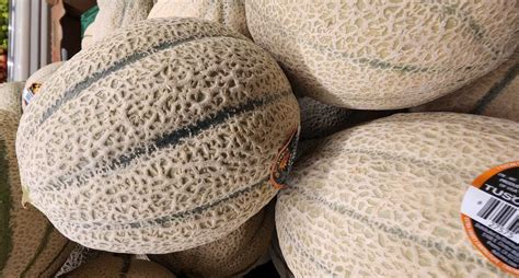 Will melon ripen in fridge?