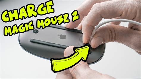 Will mice charge at you?