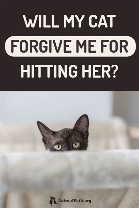 Will my cat forgive me if I hurt her?