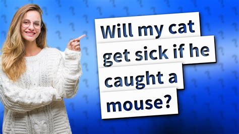 Will my cat get sick if he killed a mouse?