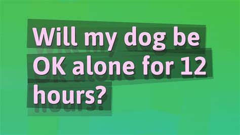 Will my dog be OK alone for 10 hours?