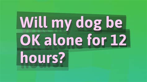 Will my dog be OK alone for 6 hours?