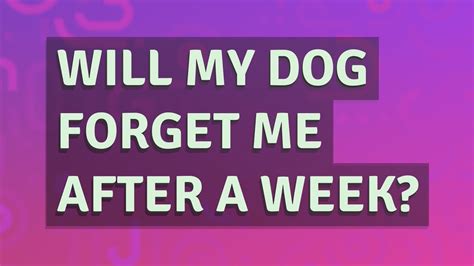 Will my dog forget me if I leave for 3 weeks?