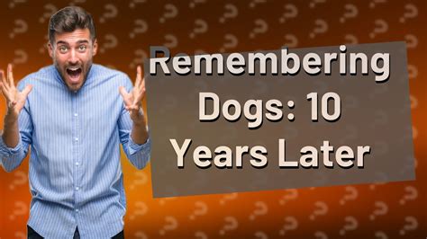 Will my dog remember me after 10 years?