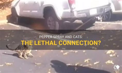 Will pepper spray hurt a cat?