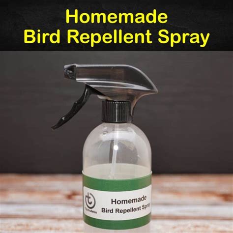 Will peppermint keep birds away?