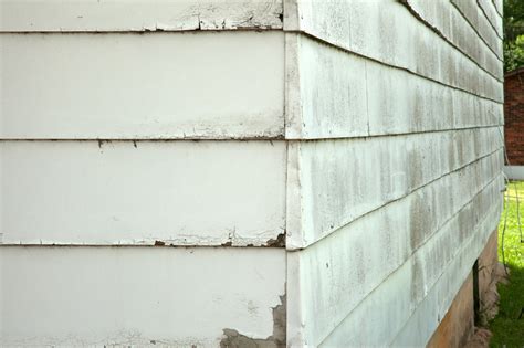 Will rain ruin cement board?