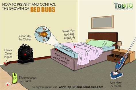 Will sleeping with lights on stop bed bugs?