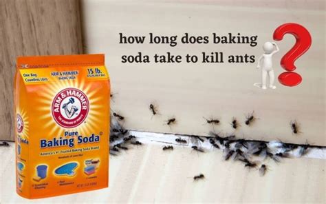 Will straight baking soda kill ants?