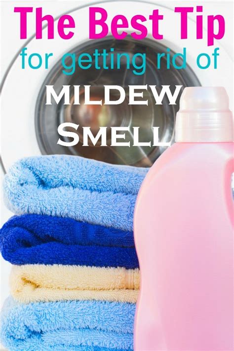 Will sunlight get rid of mildew smell?