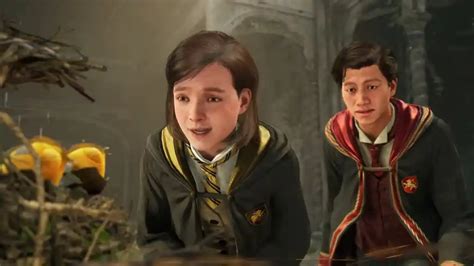 Will there be a Hogwarts Legacy 2?