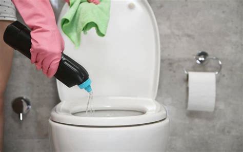 Will vinegar damage porcelain toilet bowl?