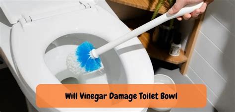Will vinegar damage toilet bowl?
