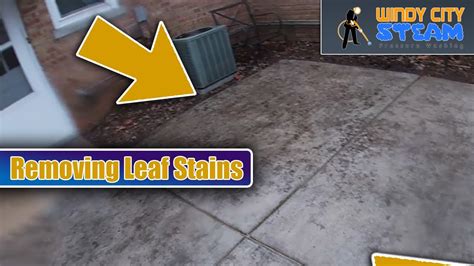 Will vinegar remove leaf stains from concrete?