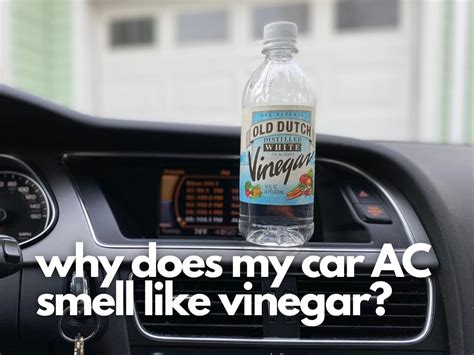 Will vinegar smell in car go away?