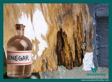 Will vinegar stop wood rot?