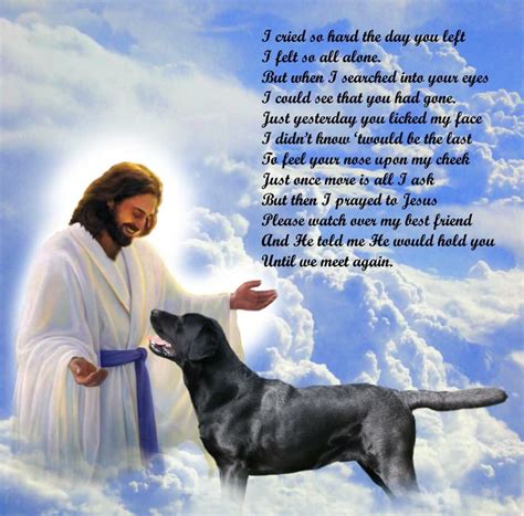 Will we see our pets in Heaven?